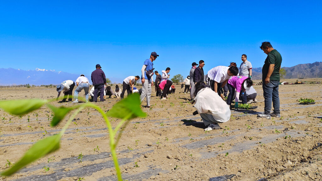 走进田园 播种希望|必发88物流春种团建活动