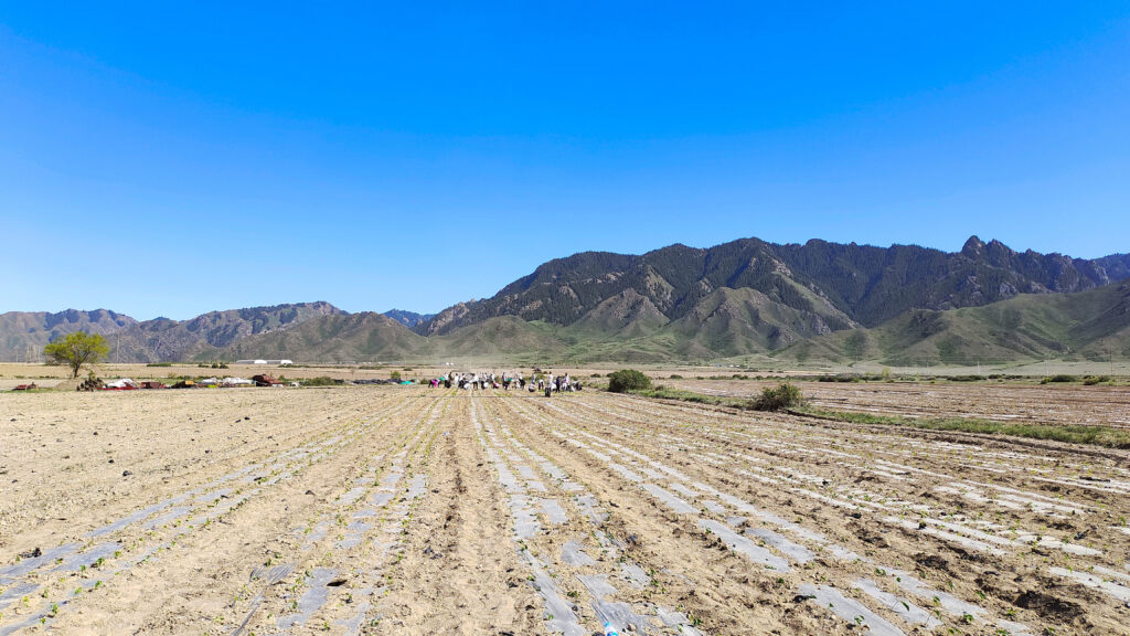 走进田园 播种希望|必发88物流春种团建活动
